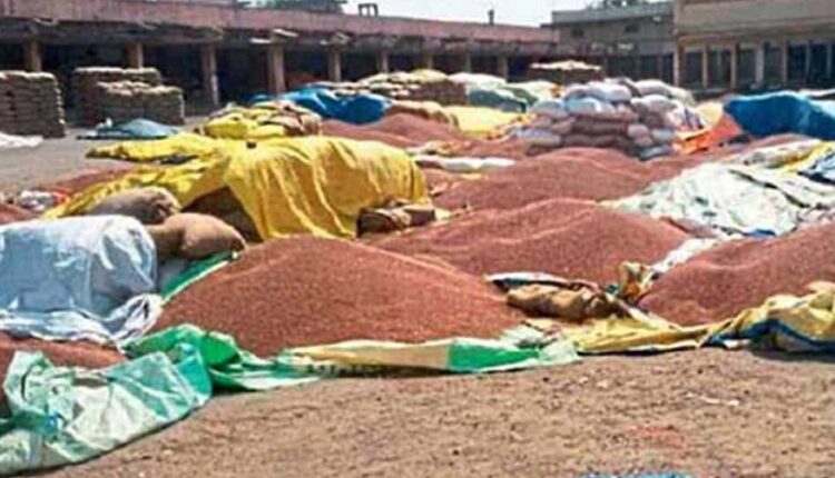 chandarpur tur kharedi