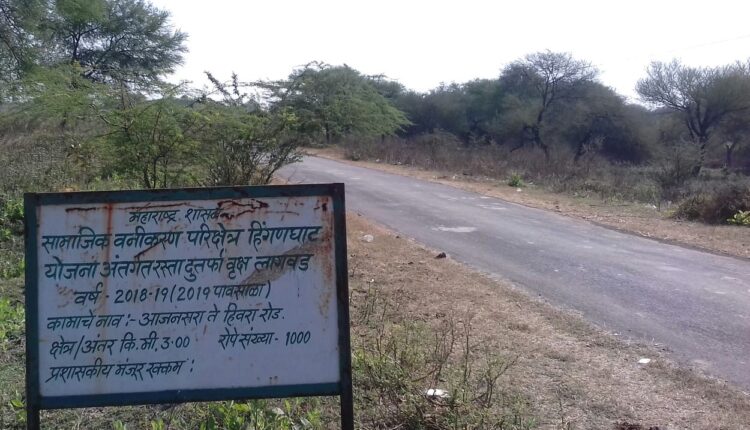 Ajansara forest