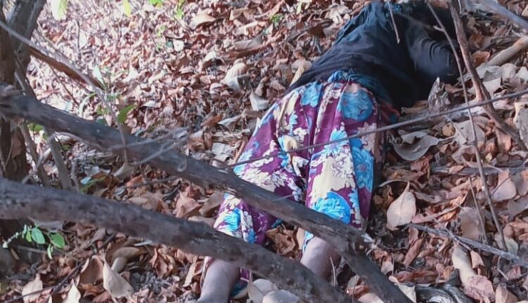 Tadoba shikar mahila