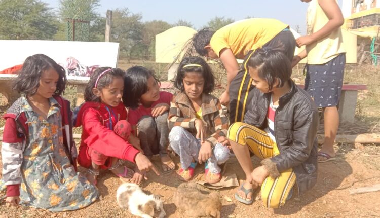 bhandara dog lovers child