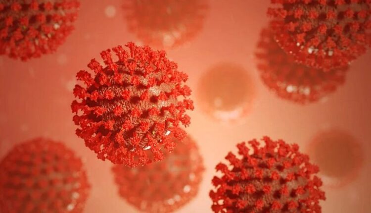 corona virus