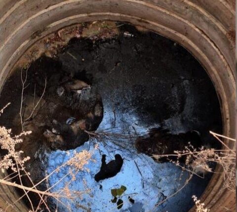 4 cubes fall in well