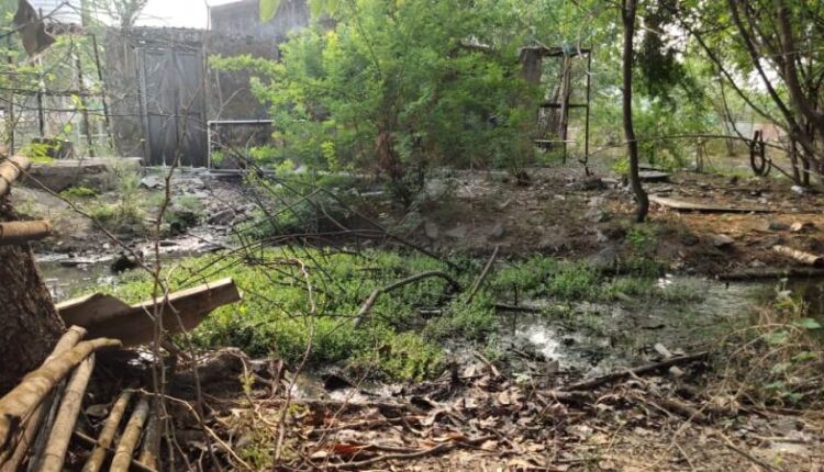 Forest Colony Alapalli