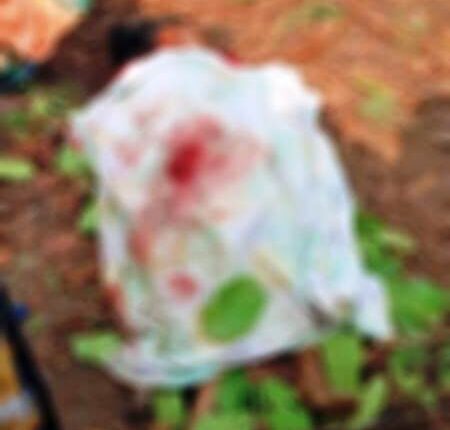 Wadsa range Tiger attack