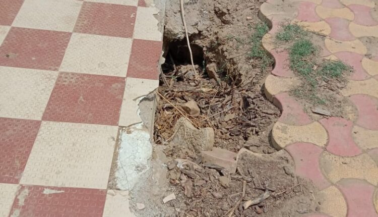 WhatsApp Image 2021-05-18 at 6.58.18 PM (1)