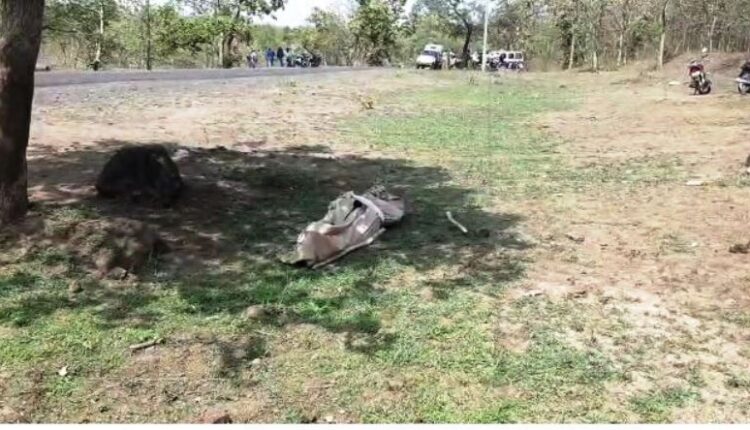 wardha district tiger attack