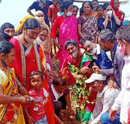 Tree plantation at shivnagar
