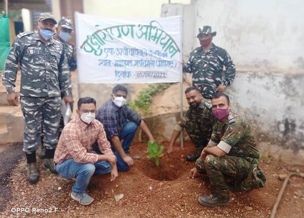 bhamragad tree plantation from crpf and police