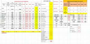 gadchiroli corona sheet