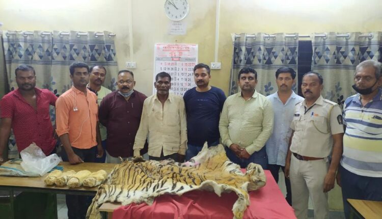 Tiger hunting skin, four paw smuggler arrested,