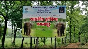 kamlapur hatti camp